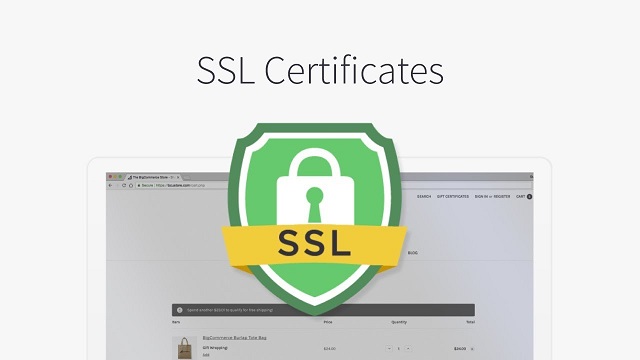 SSL giúp mã hóa những thông tin nhạy cảm