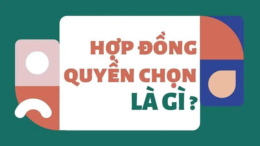 hop dong quyen chon 2