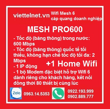 Gói MESH PRO600: 600 Mbps, cáp quang doanh nghiệp, 1 IP động