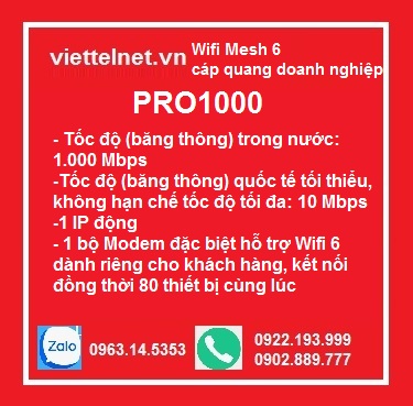 Gói PRO1000: 1000 Mbps, cáp quang doanh nghiệp, 1 IP động