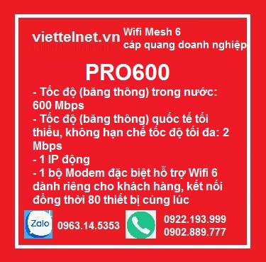 Gói PRO600: 600 Mbps, cáp quang doanh nghiệp, 1 IP động