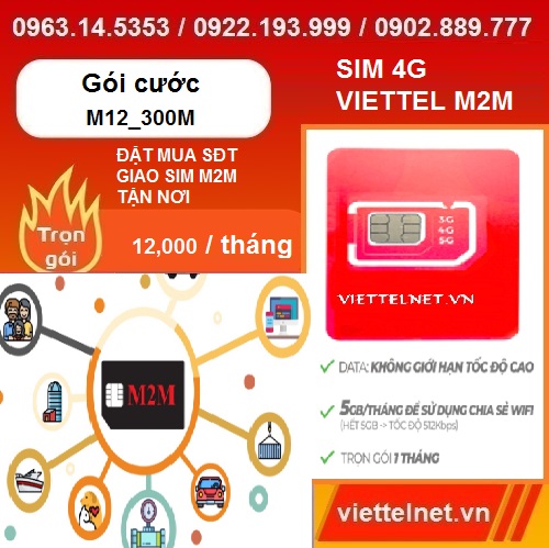 Gói cước M12_300M